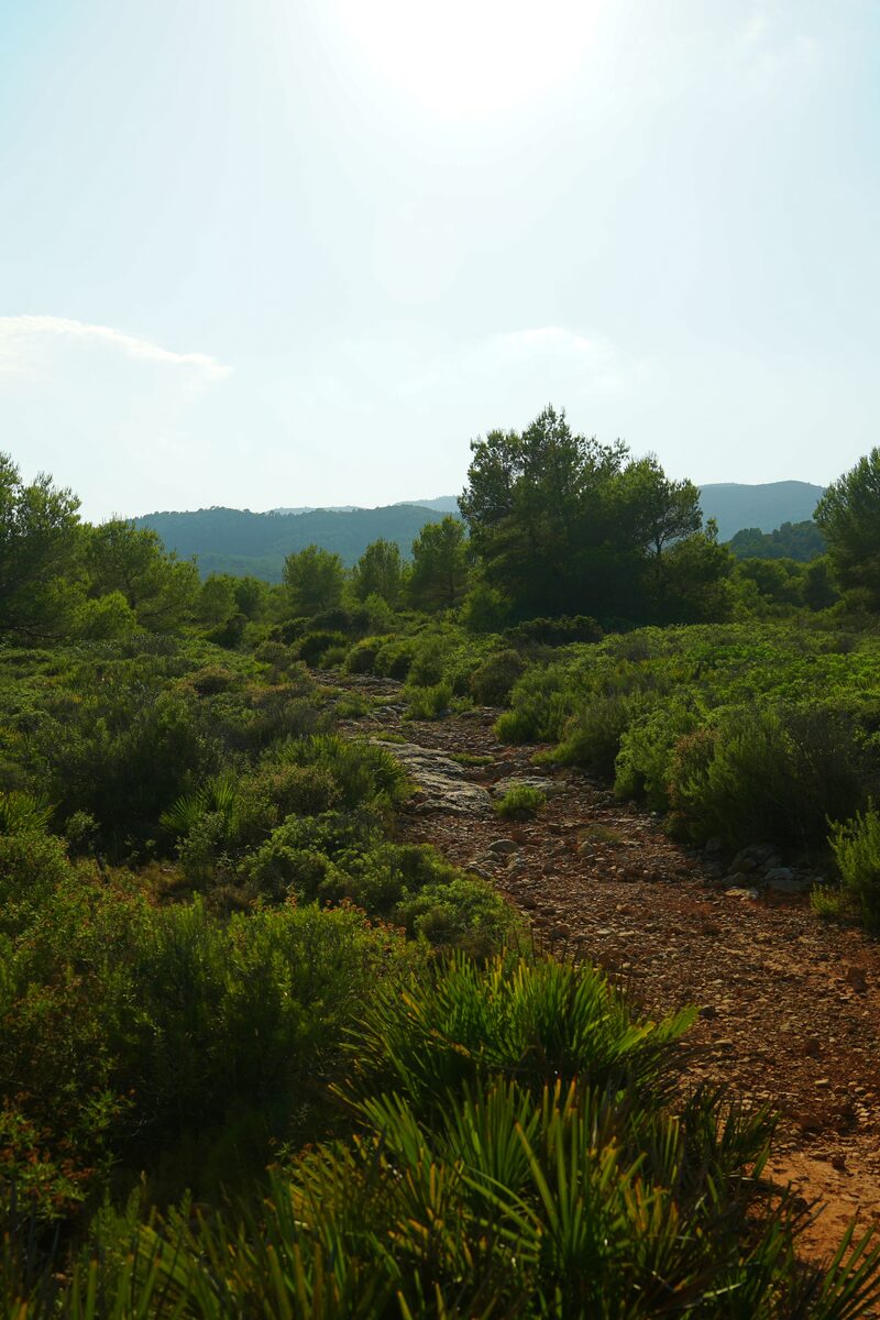 Castillo de PeÃ±Ã­scola